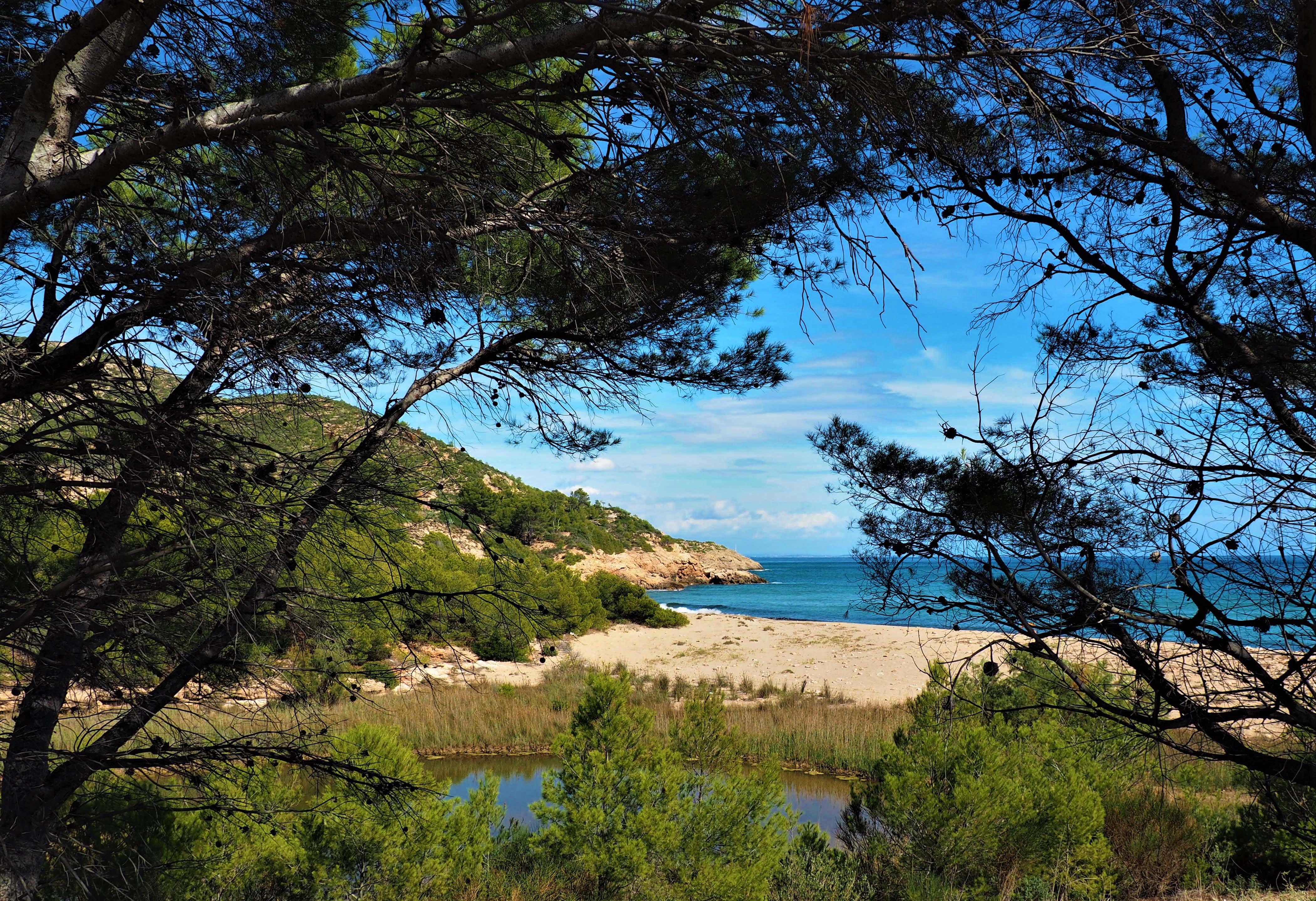 Cinc platges de Vandellòs i l’Hospitalet de l’Infant obtenen la Bandera Ecoplayas 2021