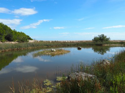 La llacuna de la Cala Justell