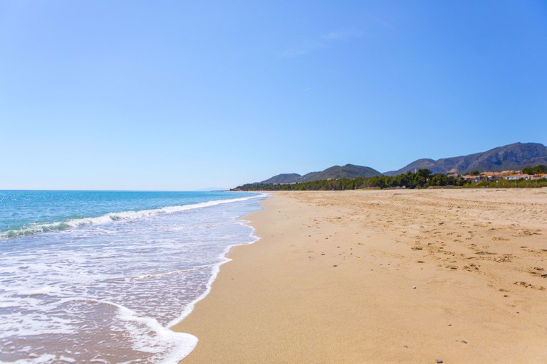 La Platja de l'Arenal