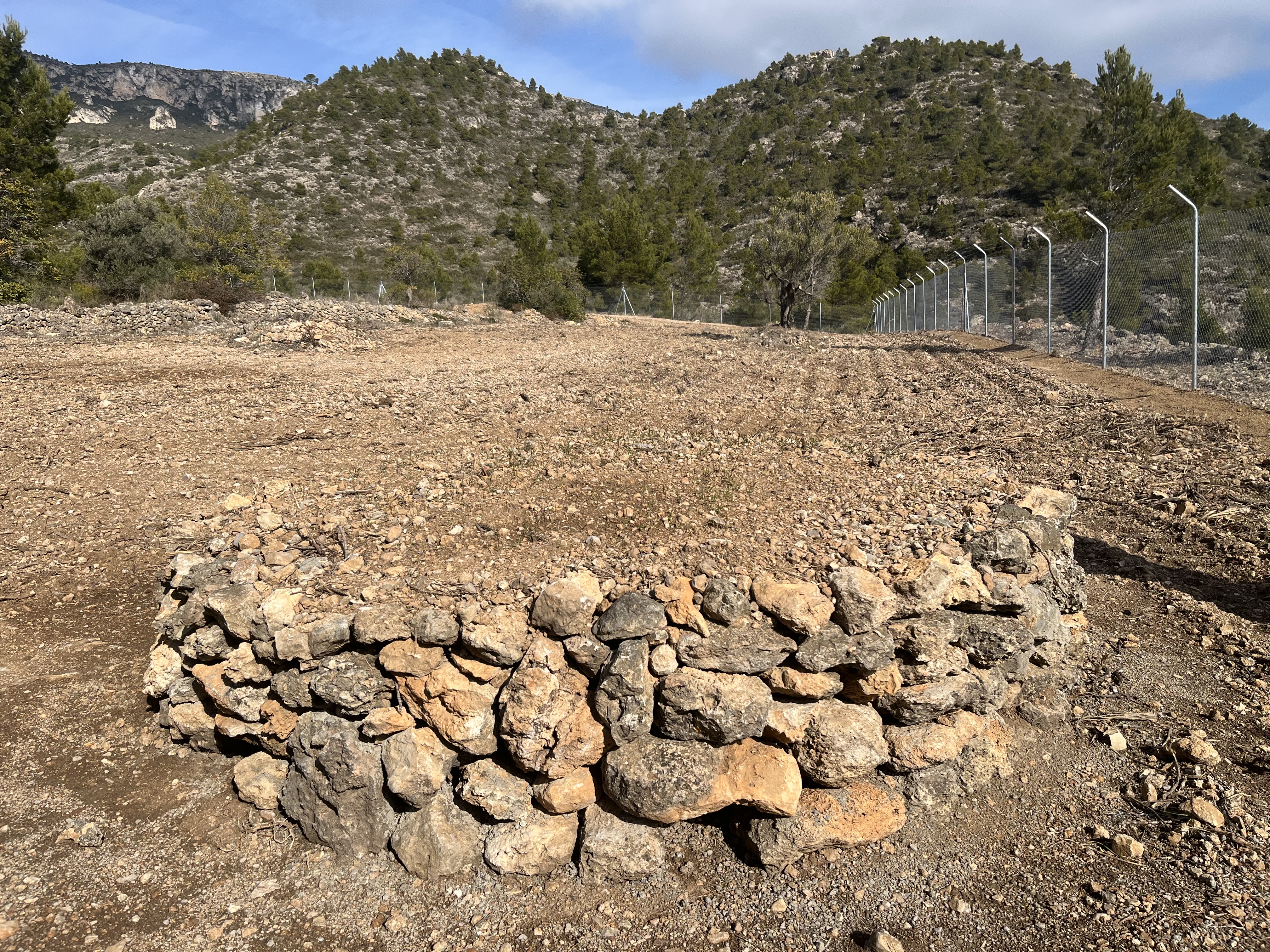 Una de les vedrunes construïdes per als conills