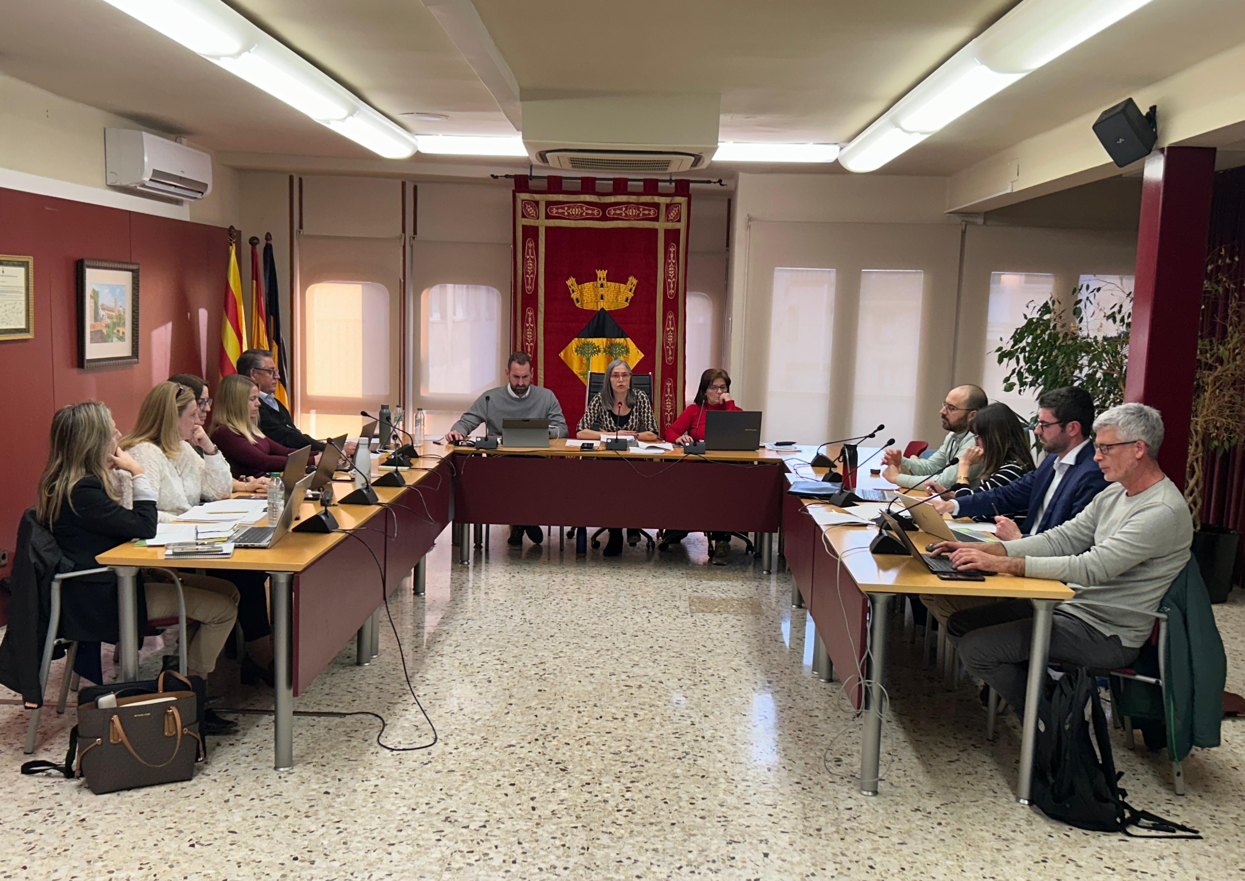 Imatge de la sessió plenària del 27 de març