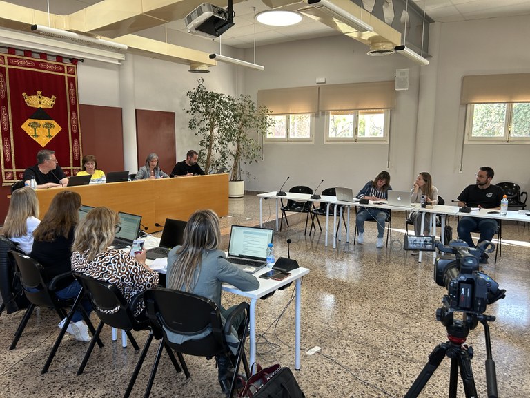 Una altra imatge del ple del 14 de maig