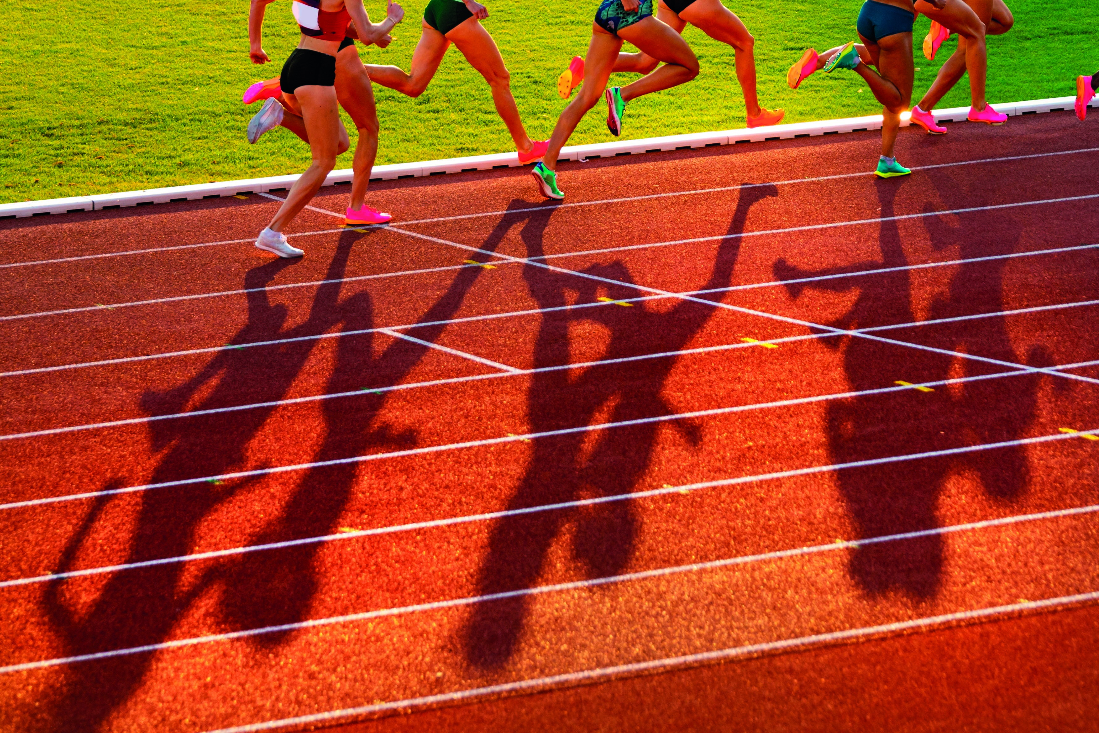 L’Ajuntament de Vandellòs i l’Hospitalet de l’Infant crea unes subvencions econòmiques per als esportistes d’elit del municipi