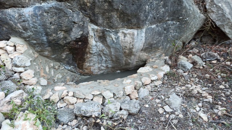 Bassa d'aigua per a les salamandres.jpeg