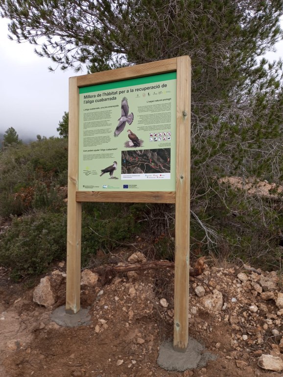 Cartell divulgatiu