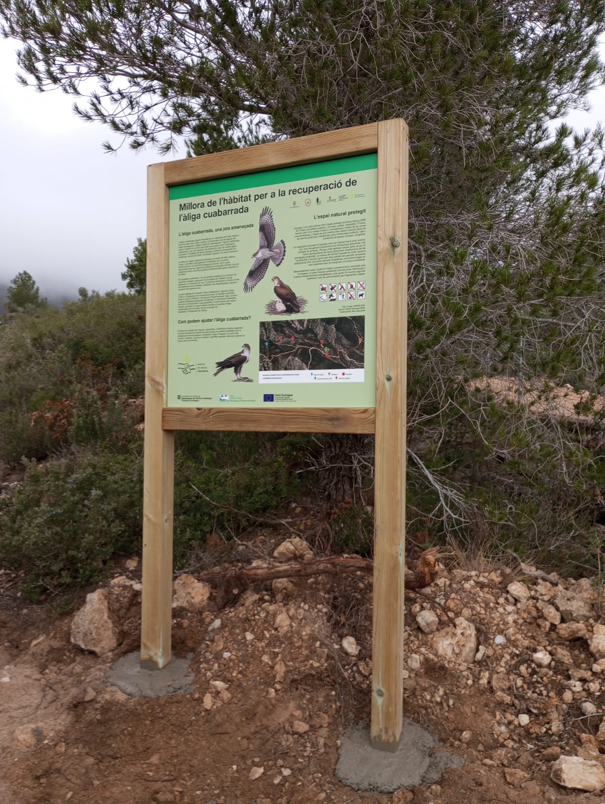 Cartell divulgatiu