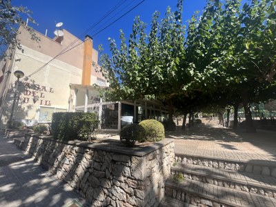 La zona d'arbrat del Casal del Puvill de Masriudoms