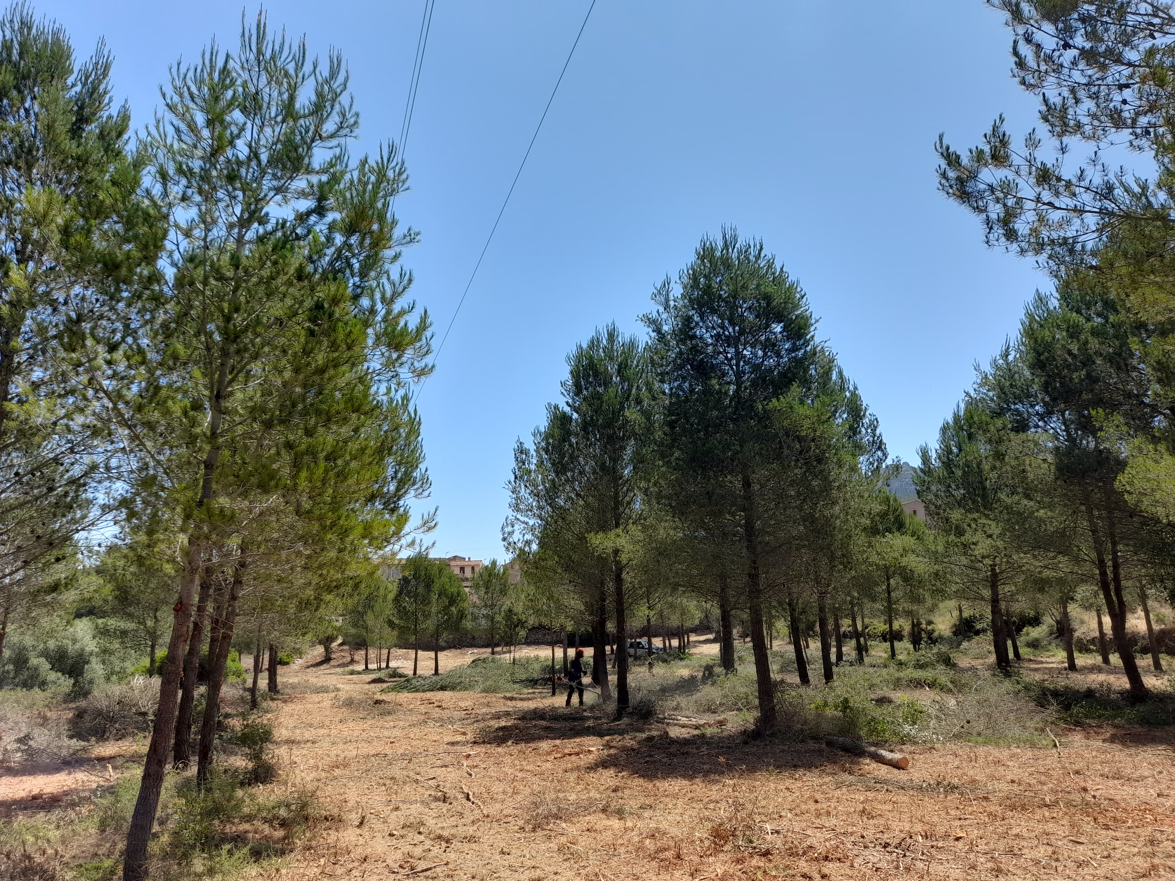 L’Ajuntament de Vandellòs i l’Hospitalet de l’Infant reforça les franges de protecció contra incendis als nuclis habitats del municipi