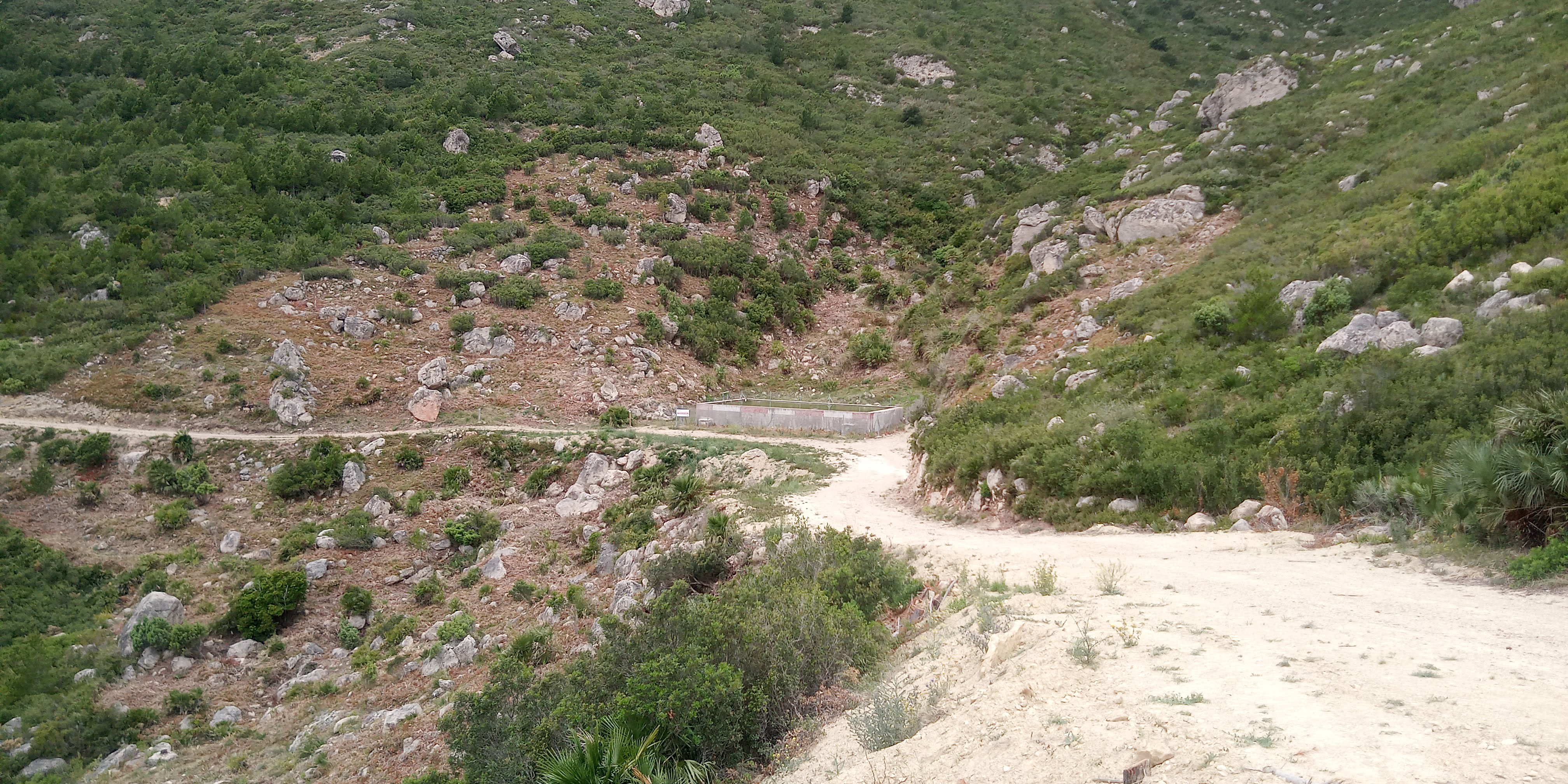 Forest de l'Aigualcoll