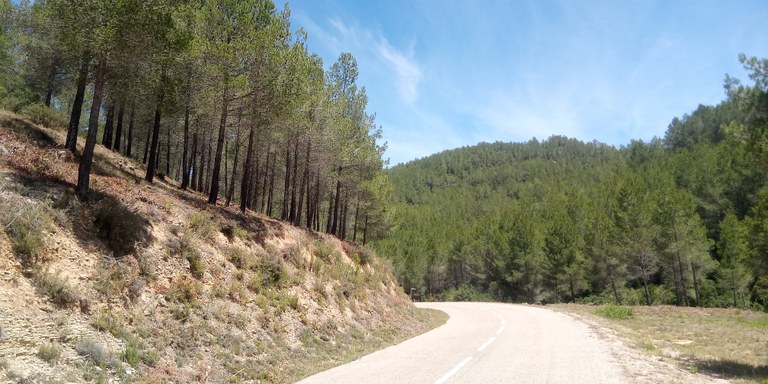 Franges de protecció fetes al camí de Gavadà