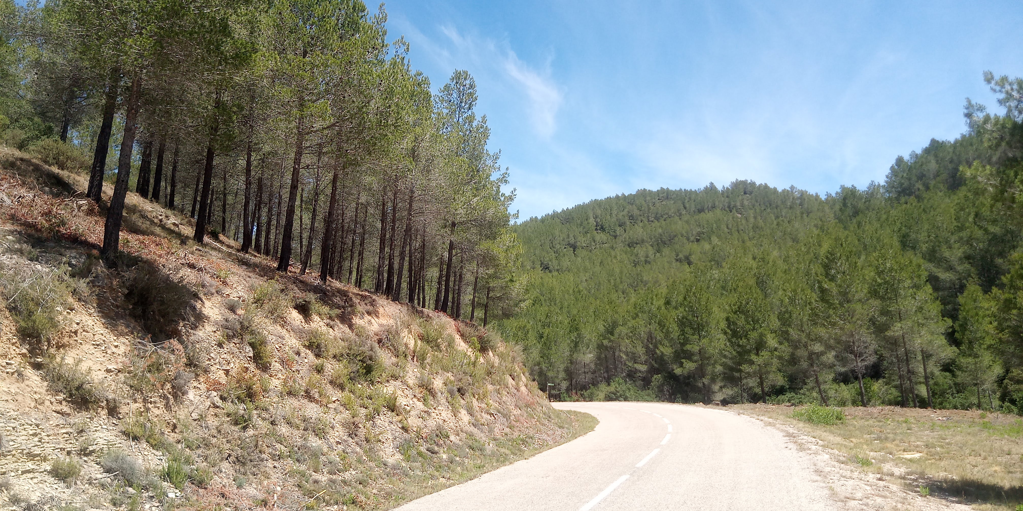Franges de protecció fetes al camí de Gavadà