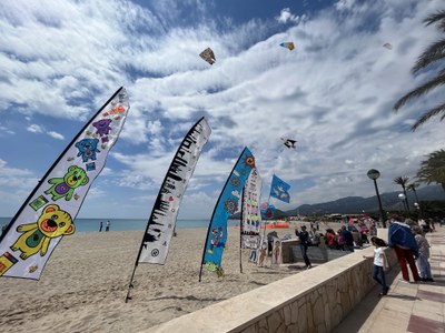 Imatge d'arxiu del Festival del Vent