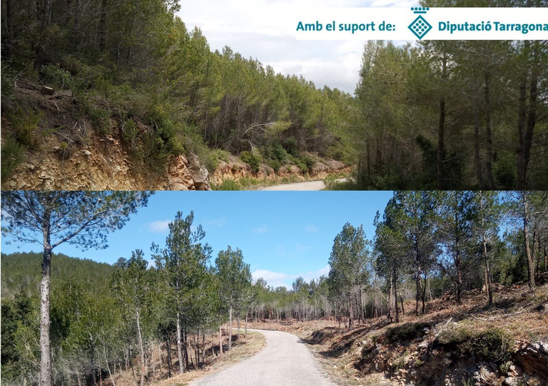 Una de les zones en què s'ha treballat
