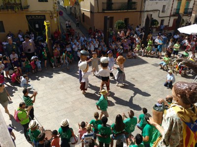 Imatge d'arxiu de la trobada de Gegants i Capgrossos