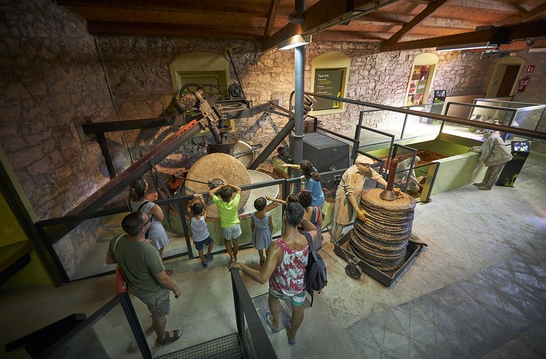 Imatge de la visita al Molí de Vandellòs