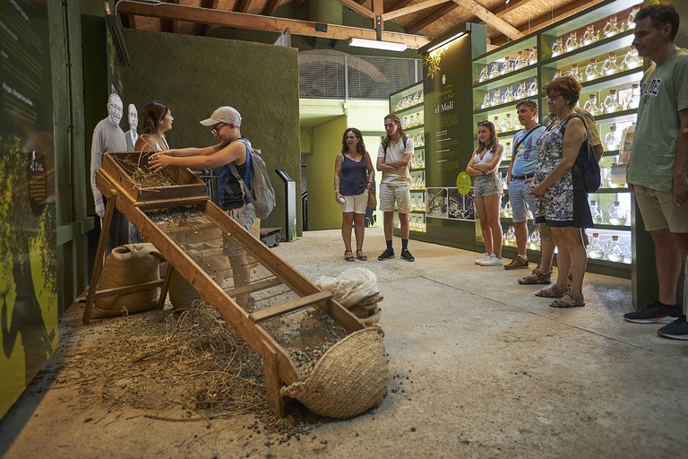 Visita guiada al Molí de l'Oli de Vandellòs