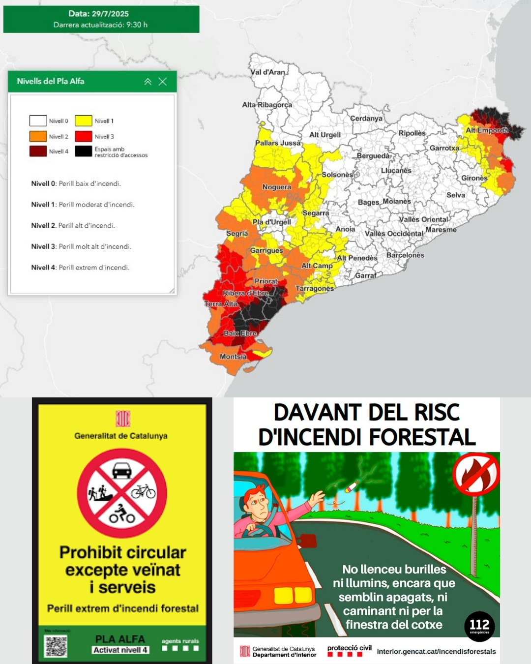 taller ambiental.jpg