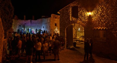 Concerts a la nit